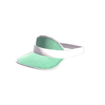 Dealer's Visor