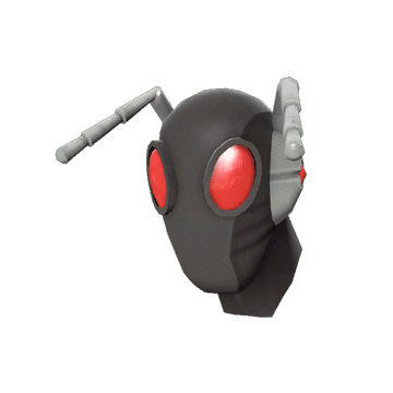Arthropod's Aspect