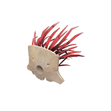The Mask of the Shaman