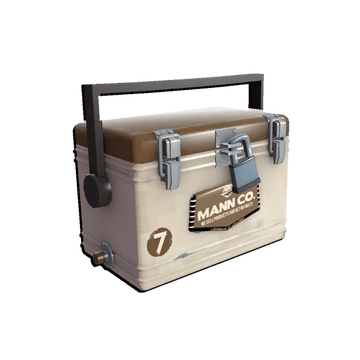 Brown Summer 2013 Cooler Series #68