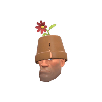 The Crack Pot