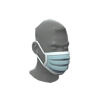 Particulate Protector