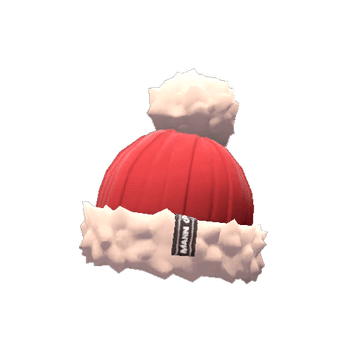 Professional's Pom-Pom