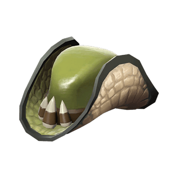 Wild Brim Slouch
