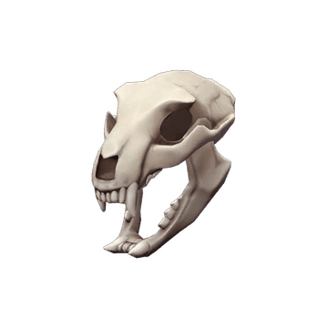 Bare Bear Bones