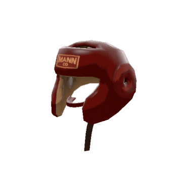 Pugilist's Protector