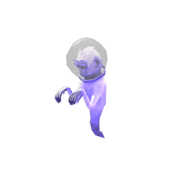 The Unknown Monkeynaut